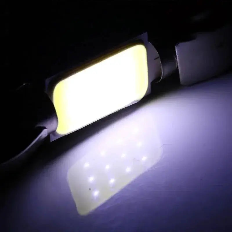 C5W LED White Festoon Bulbs Ultra Bright Car Reading Light