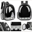Breathable Cat Bubble Backpack for Travel