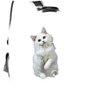 Breathable Cat Bubble Backpack for Travel