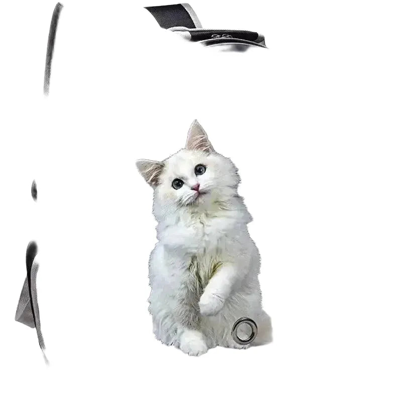 Breathable Cat Bubble Backpack for Travel — product view 1