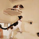 Cat Climbing Wall Mounted Step Stairway With Scratching Post