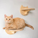 Cat Climbing Wall Mounted Step Stairway With Scratching Post