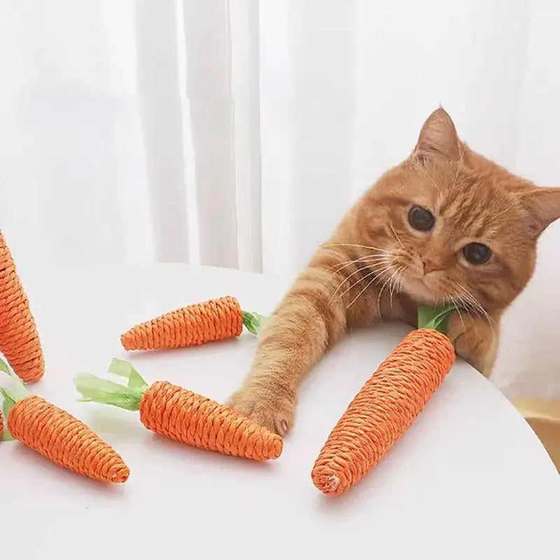 Cat Cuddle Carrot Teething Stick Interactive Cat Toy