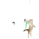 Active Play Cat Toy For Energetic Cats