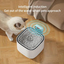 Cat Water Fountain: Intelligent Design with Auto Sensor Drinker