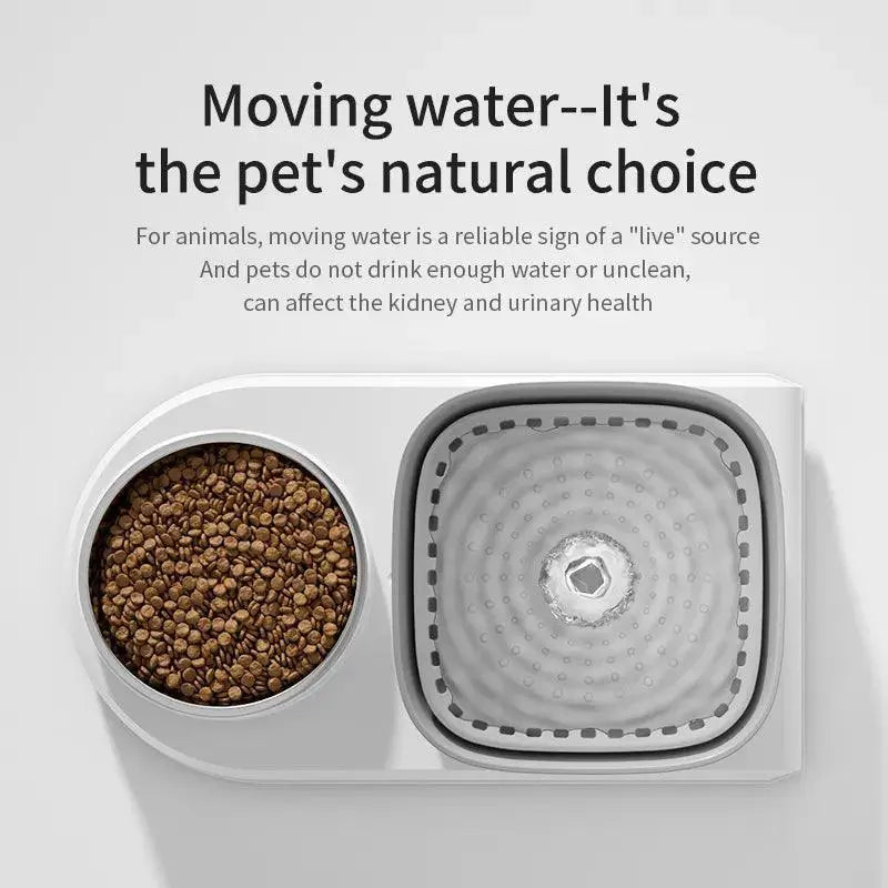 Cat Water Fountain With Automatic Feeding Bowl Fresh Water