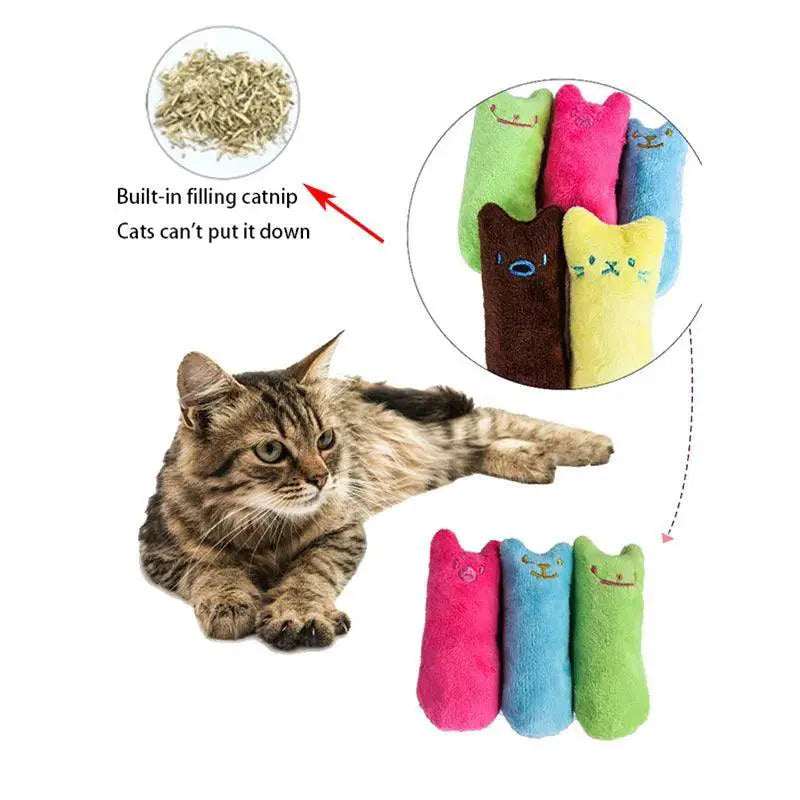 Catnip Molar Plush Cat Toy With Mint Kitten Claws Chew