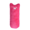 Catnip Toy for Cats Stress Relief Fun
