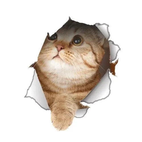 Removable Wall Stickers for Pets — product view 11