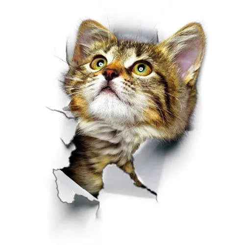 Removable Wall Stickers for Pets — product view 14