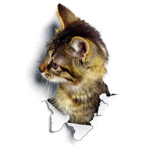 Removable Wall Stickers for Pets — product view 15