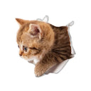 Cats and Dogs 3D Wall Sticker Set for Eco-Friendly Decor