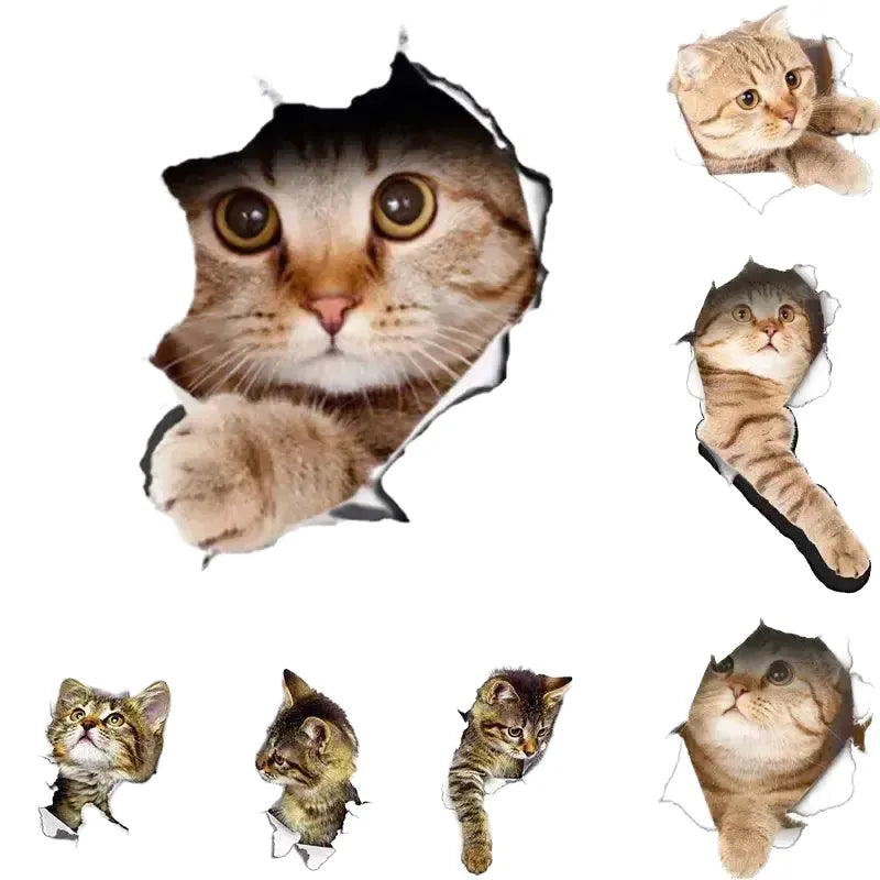 Removable Wall Stickers for Pets — product view 1