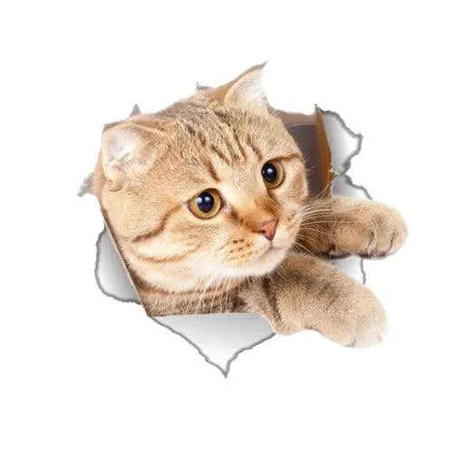Removable Wall Stickers for Pets — product view 10