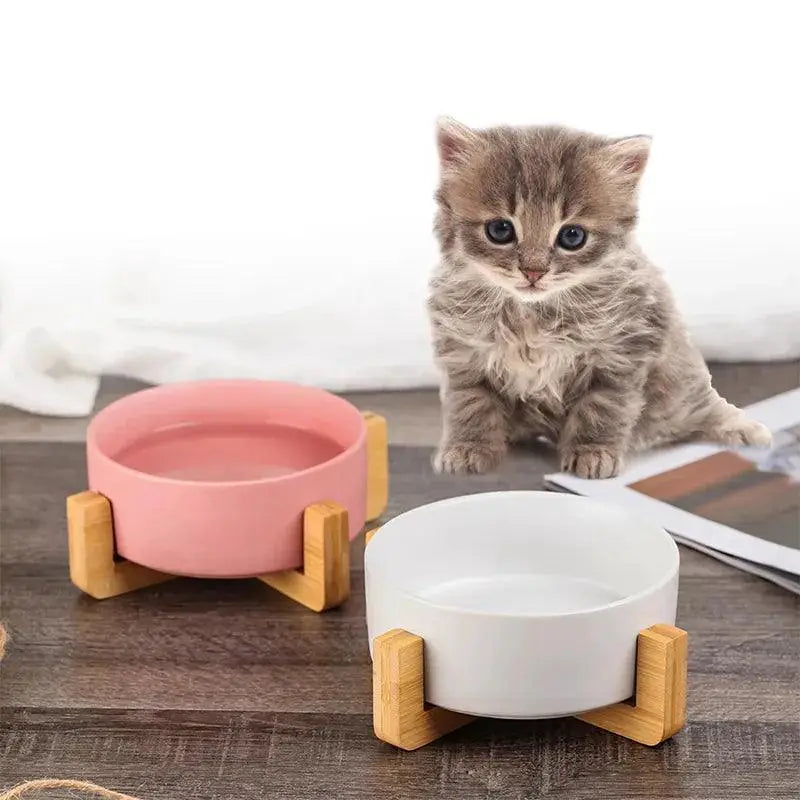 Ceramic Pet Bowl With Wooden Stand Non Spill Double Feeder