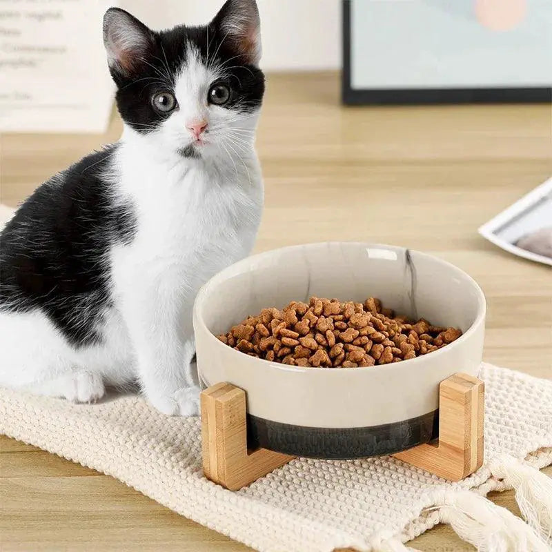 Ceramic Pet Bowl With Wooden Stand Non Spill Double Feeder