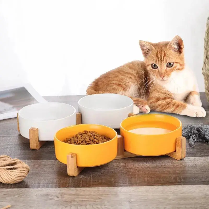 Ceramic Pet Bowl With Wooden Stand Non Spill Double Feeder