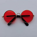 Charming Vintage Round Sunglasses for Small Pets Eye Wear