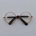 Charming Vintage Round Sunglasses for Small Pets Eye Wear