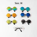 Charming Vintage Round Sunglasses for Small Pets Eye Wear
