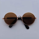 Charming Vintage Round Sunglasses for Small Pets Eye Wear