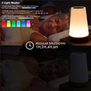 Color Changing Touch Bedside Lamp Remote Controlled Light