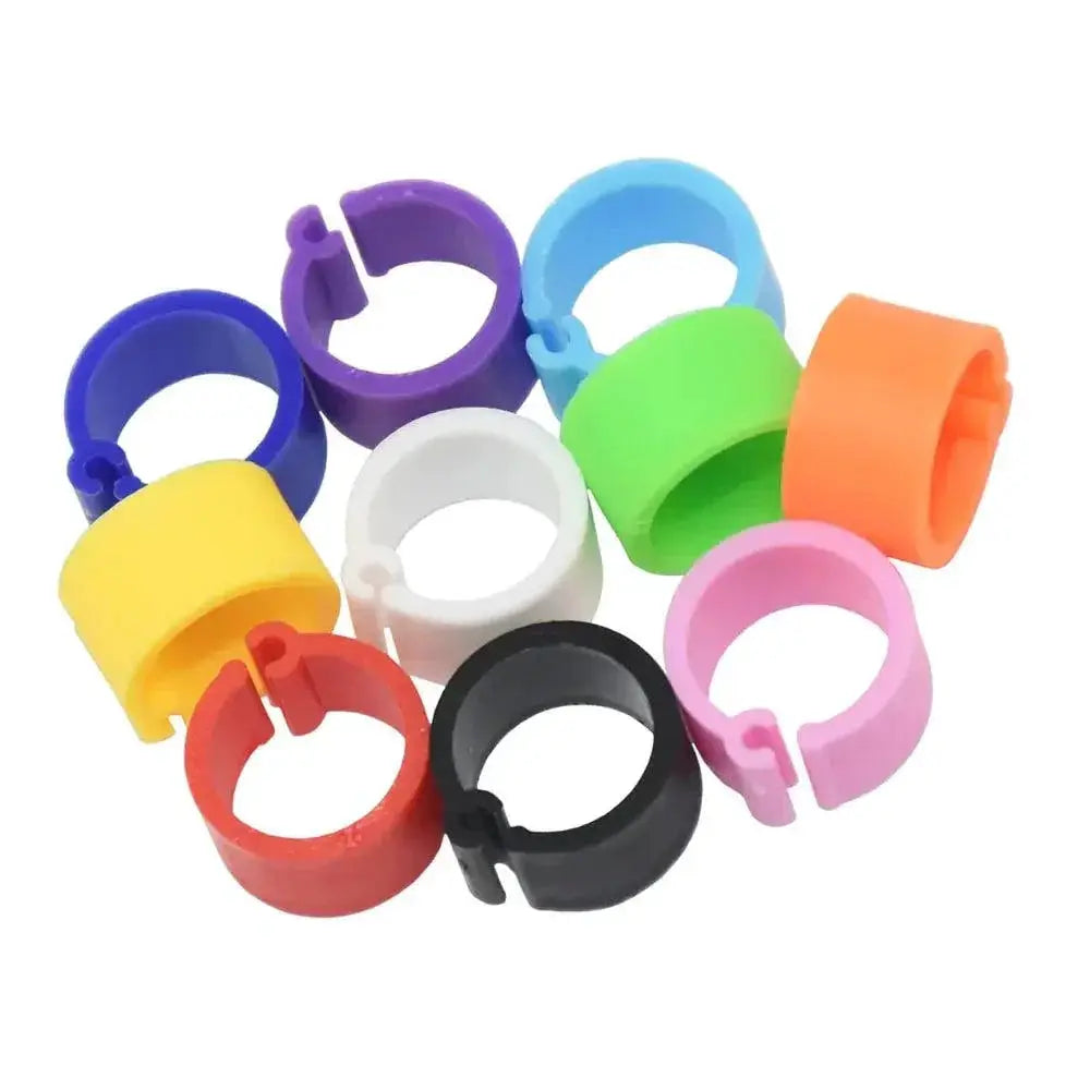 Colorful Bird Foot Rings For Pigeons Doves Quails Upgrade