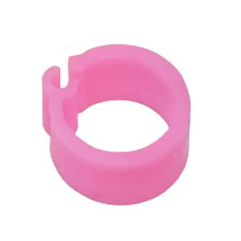 Colorful Bird Foot Rings For Pigeons Doves Quails Upgrade