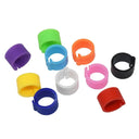 Colorful Bird Foot Rings For Pigeons Doves Quails Upgrade