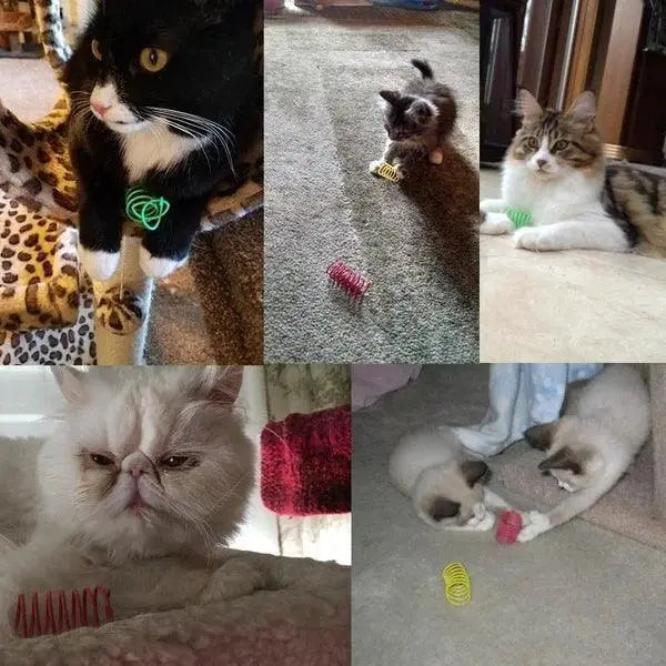 Colorful Interactive Cat Spring Toy for Active Playtime Fun