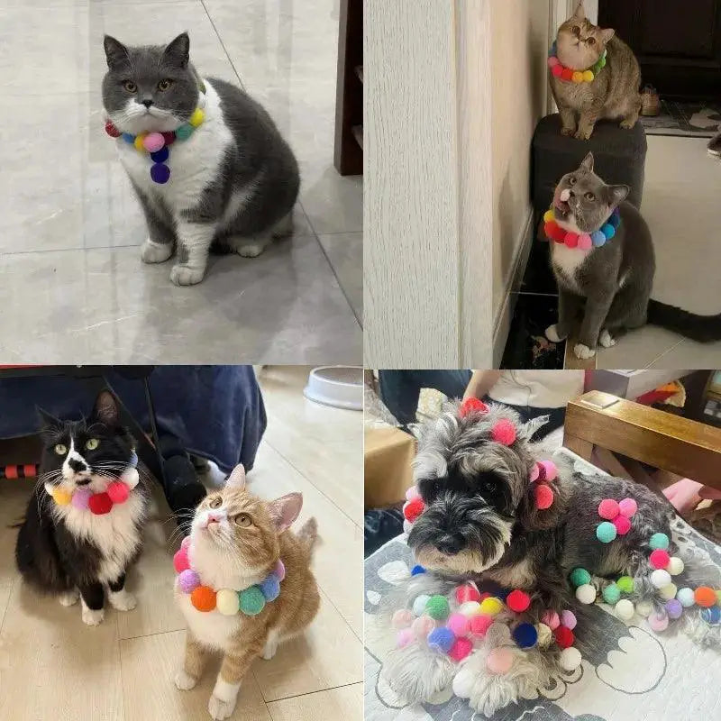 Colorful Interactive Plush Cat Toys For Playful Cats