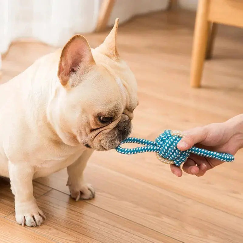 Cotton Rope Dog Toy Colorful Teething Chew For Small Dogs