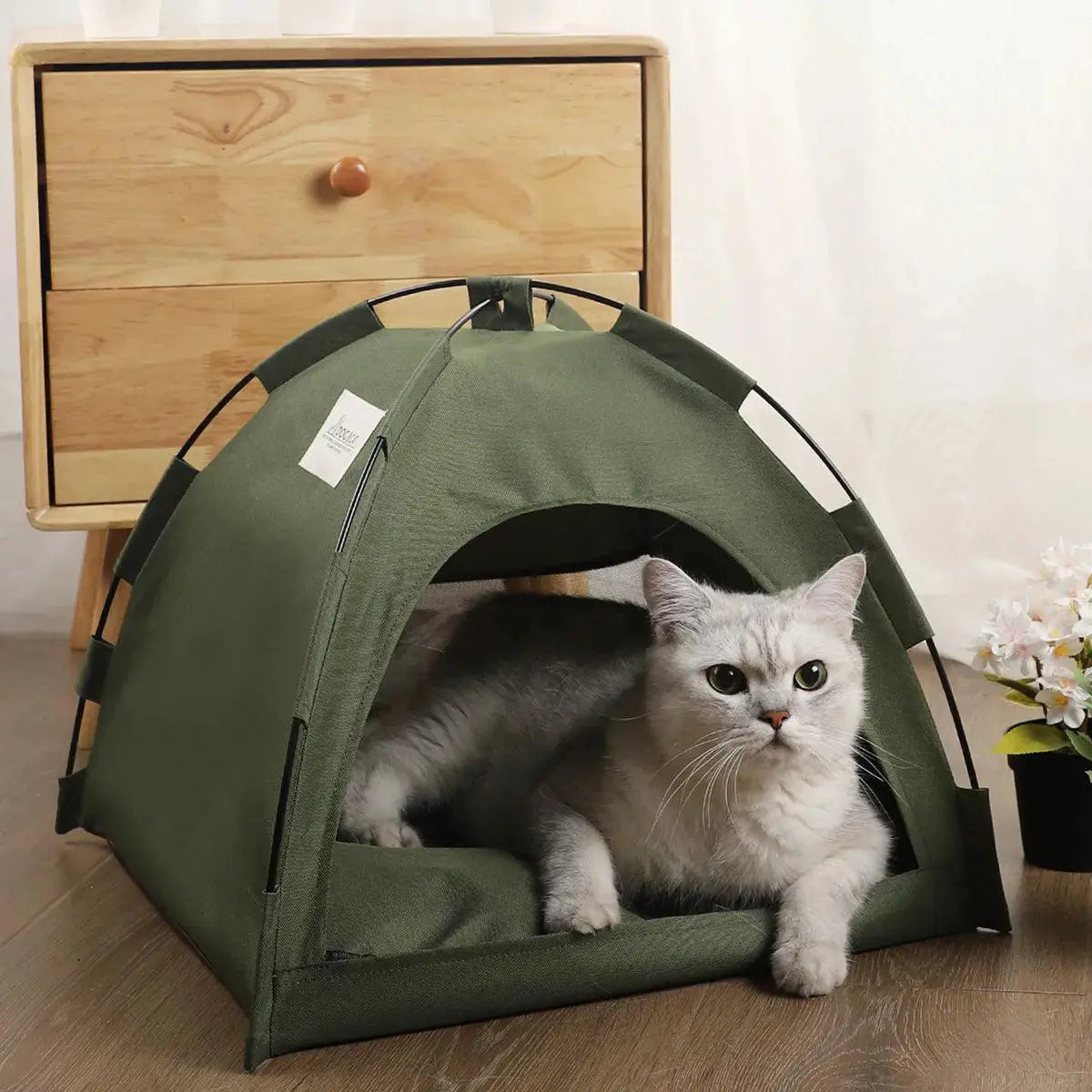 Cozy Cat Tent Bed With Warm Accessories For Feline Comfort