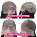 Flawless Natural Lace Front Wig For Pros