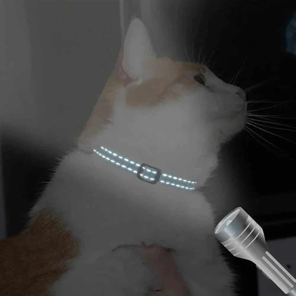 Custom Engraved Reflective Cat Collar With Bell Necklace