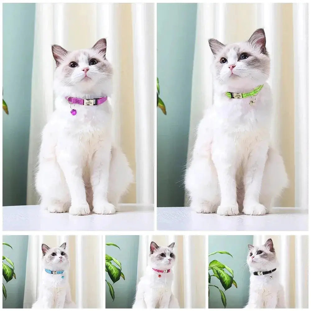 Custom Engraved Reflective Cat Collar With Bell Necklace