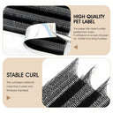 Consistent Volume Lashes For Salons