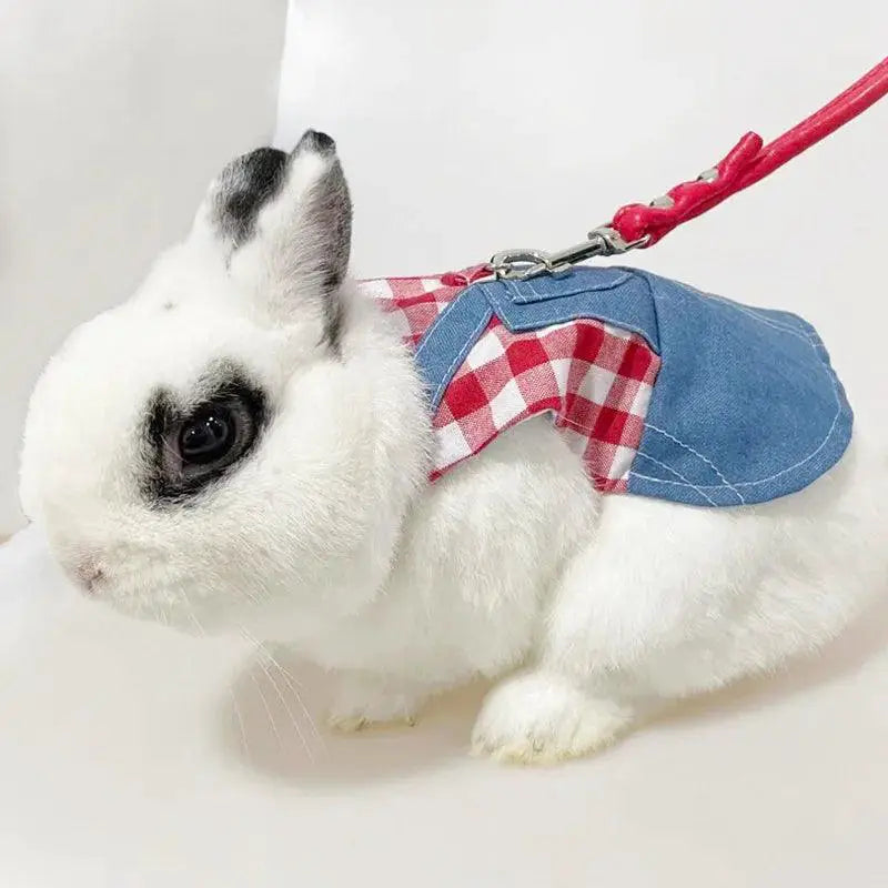 Cute Bunny Outdoor Harness And Leash Set For Rabbit Dress