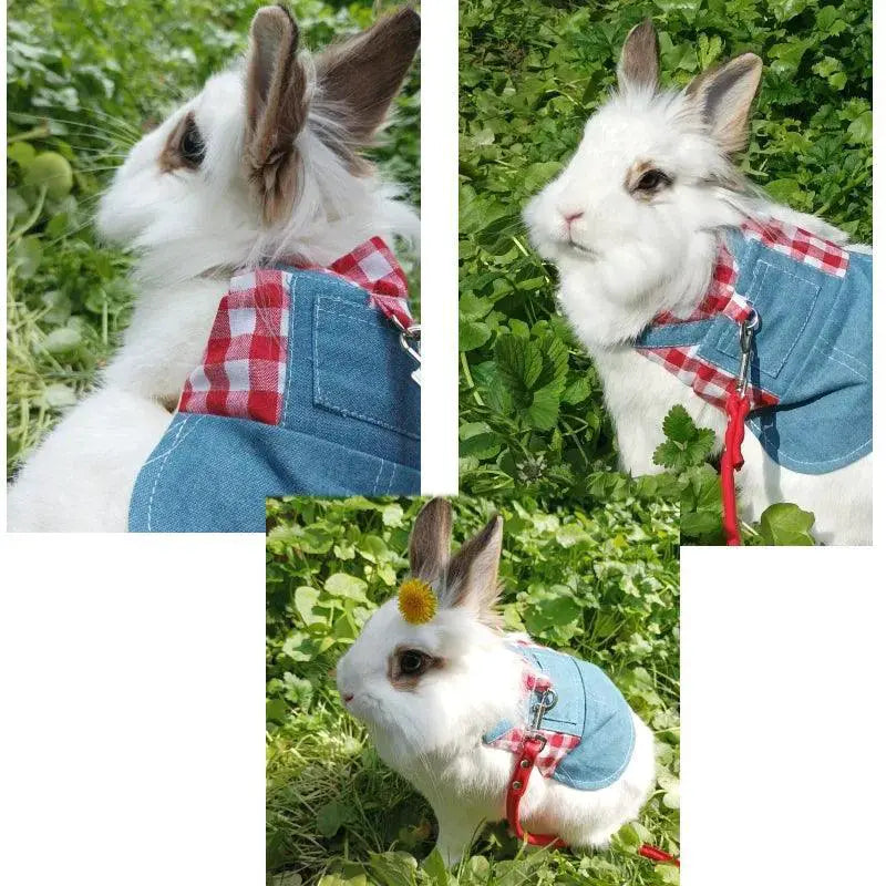 Cute Bunny Outdoor Harness And Leash Set For Rabbit Dress