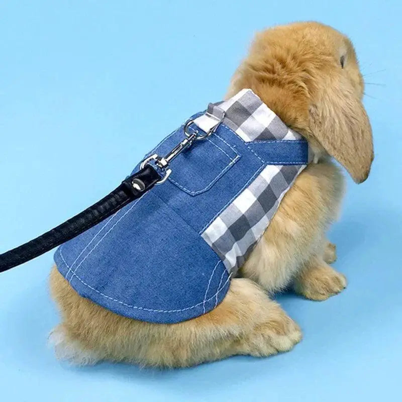 Cute Bunny Outdoor Harness And Leash Set For Rabbit Dress