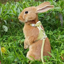 Cute Rabbit Harness and Leash Set for Outdoor Walking Pets