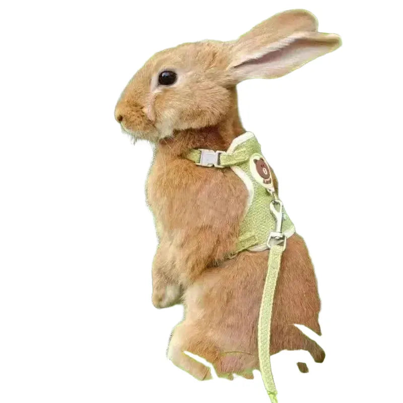 Safer Walks Rabbit Harness for Pets — product view 1