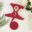 Cute Rabbit Harness and Leash Set for Outdoor Walking Pets