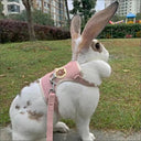 Cute Rabbit Harness and Leash Set for Outdoor Walking Pets