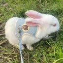 Cute Rabbit Harness and Leash Set for Outdoor Walking Pets
