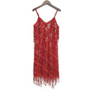 Dazzling Sequined Tassel Dress for Sparkle and Dance Fun