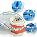 Dental Polishing Discs: Achieve Lifelike Aesthetics Now