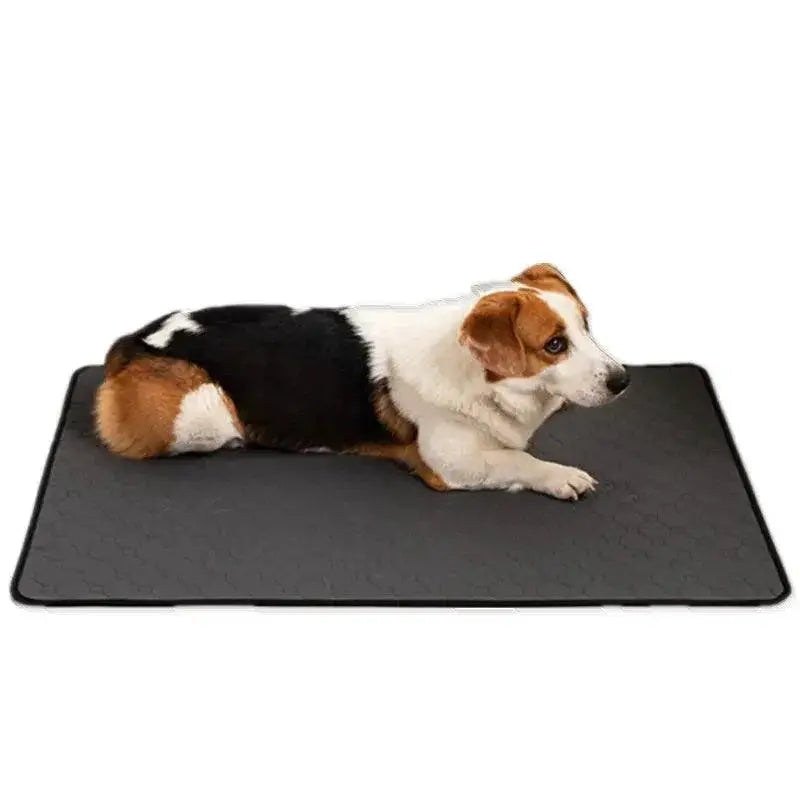 Waterproof Reusable Dog Diaper Mat Training Pad Cover