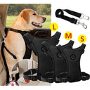 Adventure Dog Harness Leash Set: Outdoor Safety Upgrade