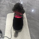 Dog Laser Therapy Belt for Joint Relief